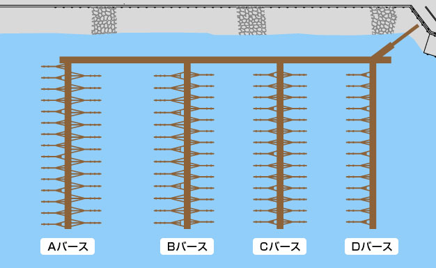 桟橋配置図